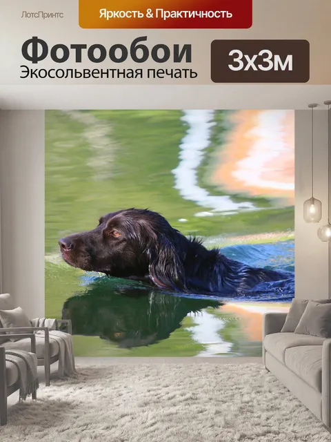 Фотообои Озеро