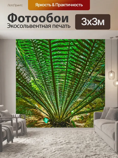 Фотообои Пальма