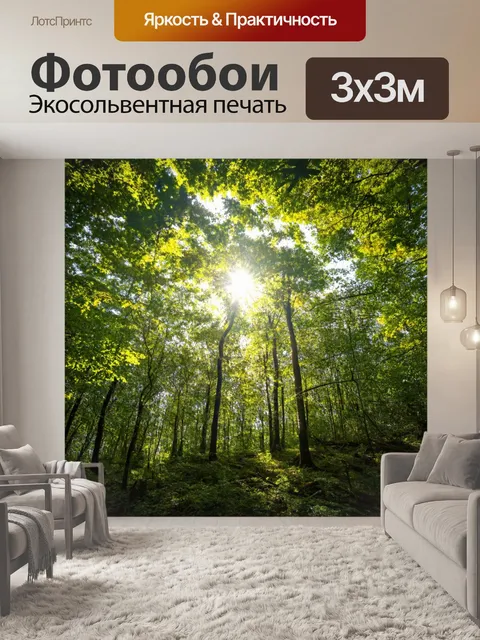 Фотообои лес с ярким солнечным светом, пробивающимся сквозь листву