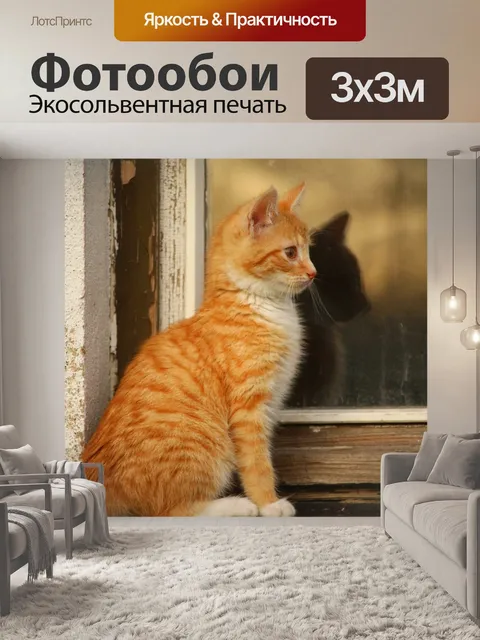 Фотообои Кот