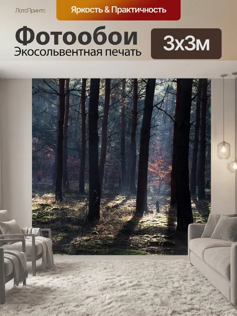 Фотообои Лес