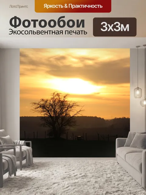 Фотообои Заход солнца