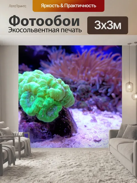 Фотообои Коралл