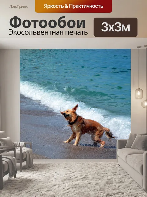 Фотообои Собака