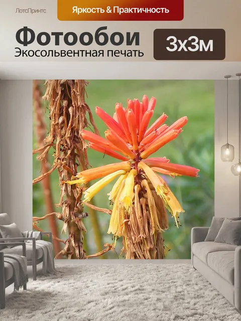 Фотообои Книфофия