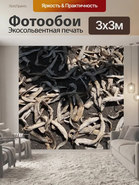 Фотообои Рыбы