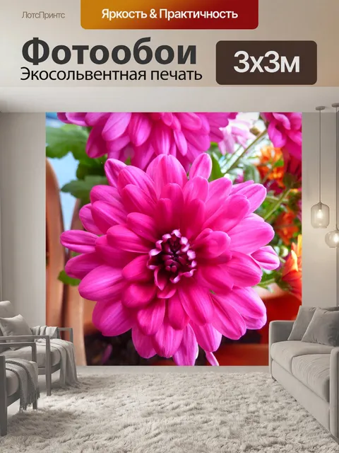 Фотообои Цветок
