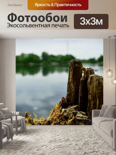 Фотообои Пень