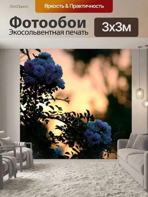 Фотообои светящиеся закат за поднялся кластеры