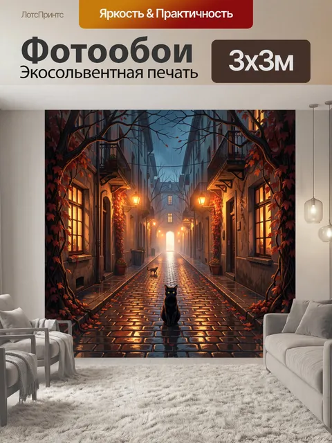 Фотообои Кот на осенней мокрой улице