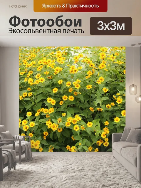 Фотообои Желтый цветок ромашка