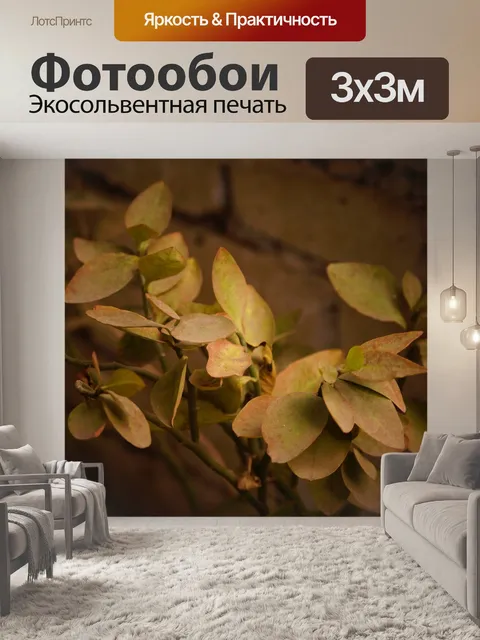 Фотообои Листья