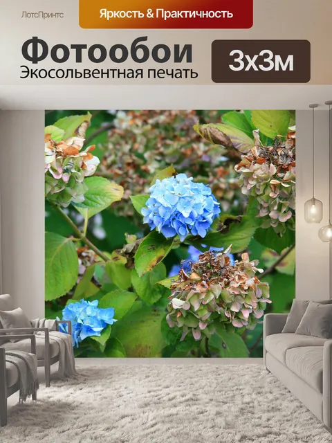 Фотообои ярко-синий гортензия