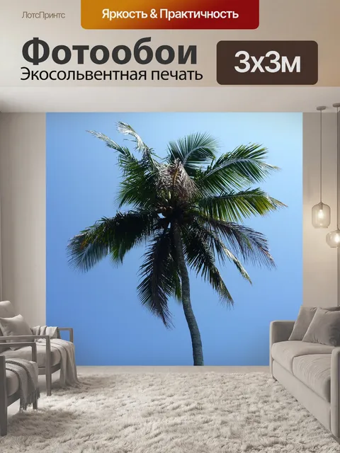 Фотообои Пальма