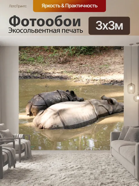 Фотообои Носороги