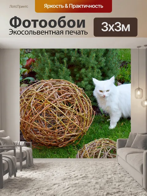 Фотообои Кошка