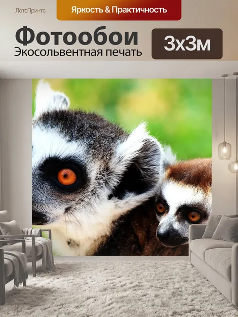 Фотообои Лемур
