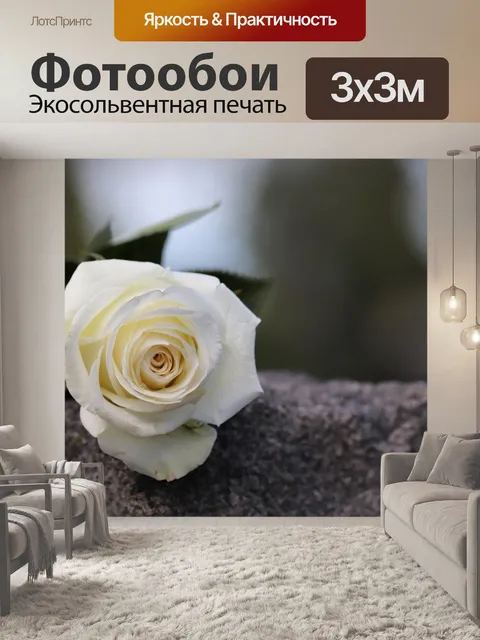 Фотообои Белая роза