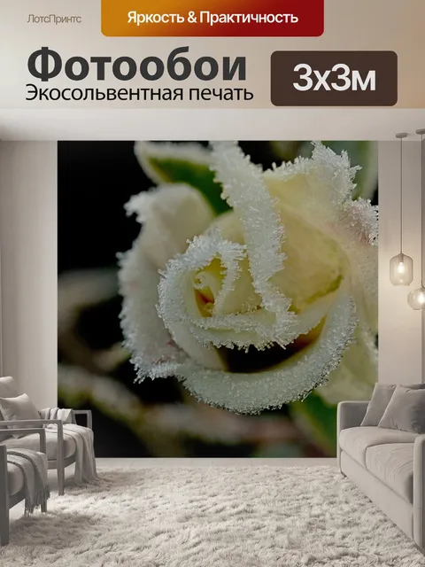 Фотообои Зима
