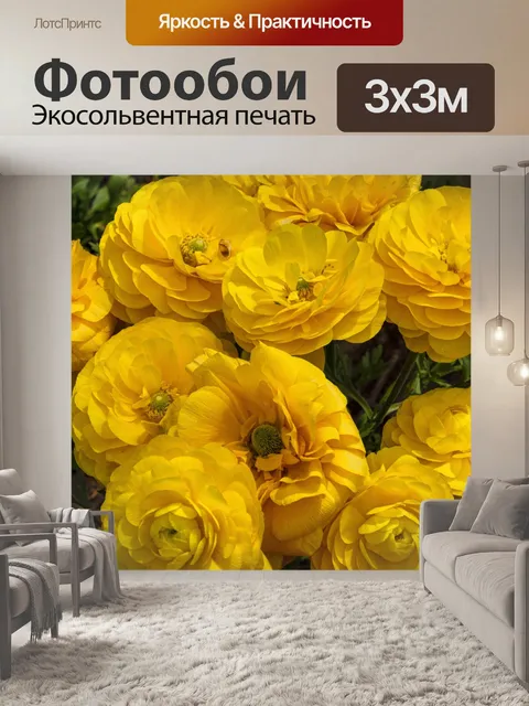 Фотообои Желтые персидские лютики