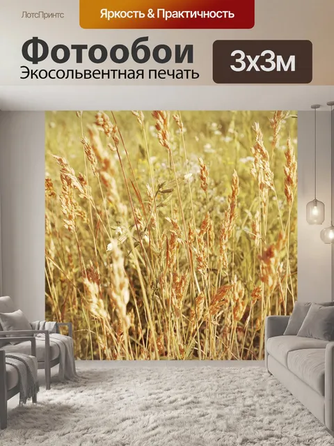 Фотообои Колос