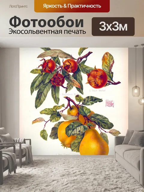 Фотообои Старинный фруктовый сад