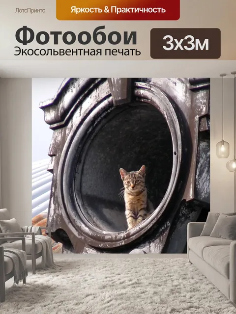Фотообои Кот