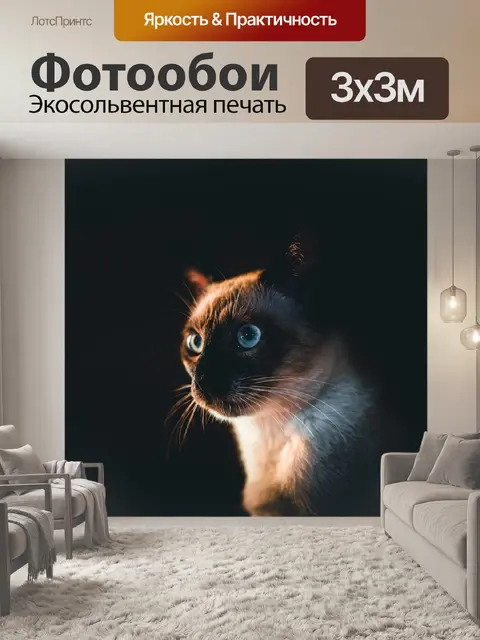 Фотообои Сиамская кошка