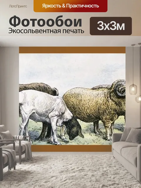 Фотообои Овцы Адольфа Милло