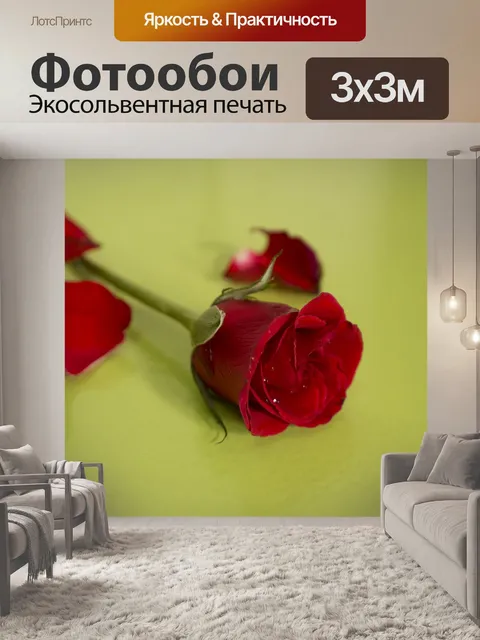 Фотообои Красные розы