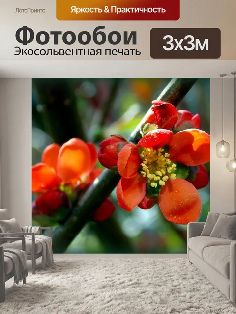 Фотообои Японская айва