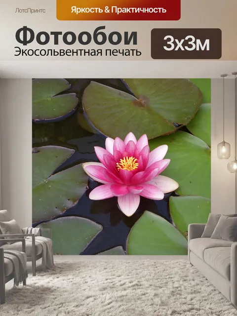 Фотообои Водяная лилия