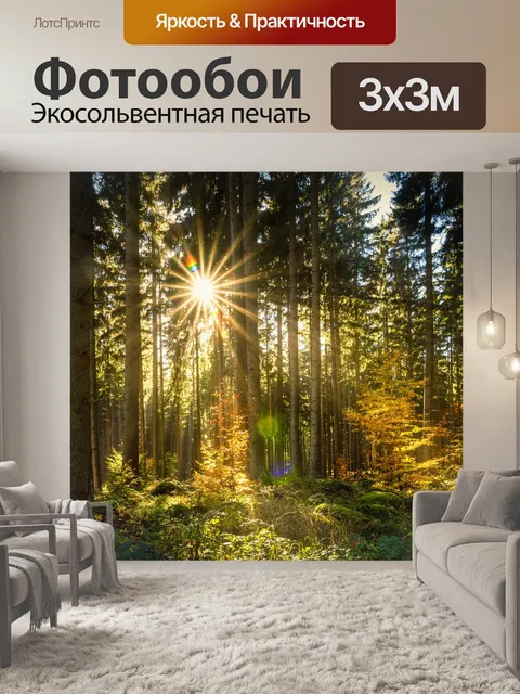 Фотообои Лес