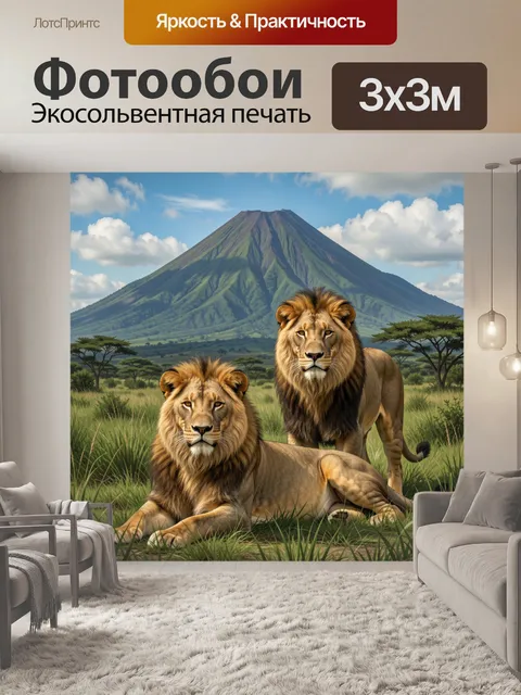 300 × 300 см · Экосольвентная печать