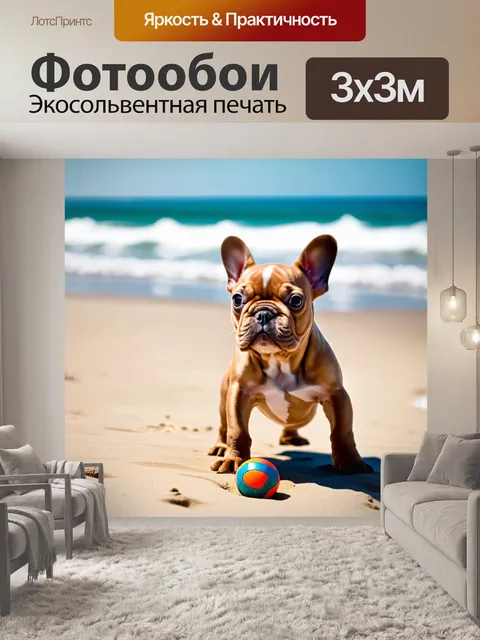 Фотообои в фотографии запечатлён щенок французского бульдога, играющий с мячом на пляже