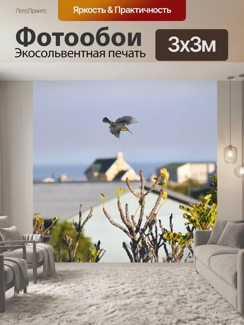 Фотообои Страна