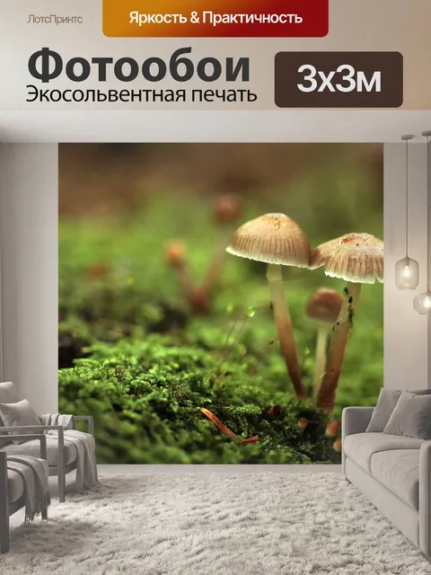 Фотообои Грибы мох лес ствол дерева
