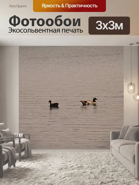 Фотообои утки на воде плотины