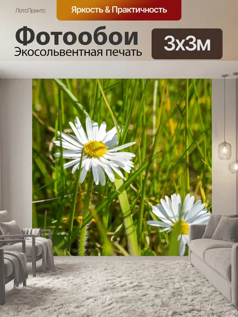 Фотообои Ромашки на газоне