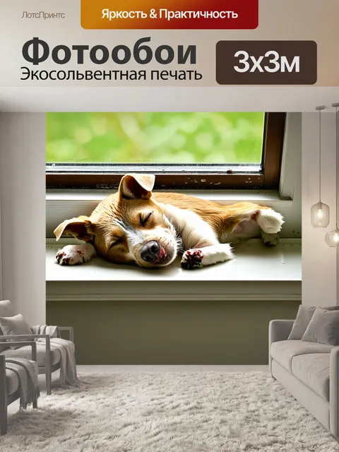 Фотообои фокстерьер спит на подоконнике, его голова опущена вниз