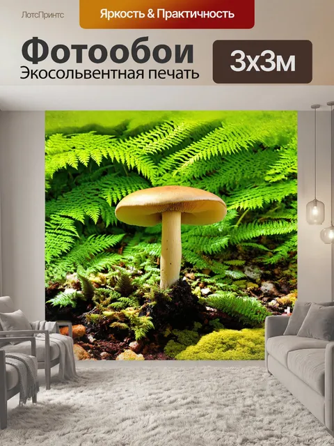 Фотообои псилоцибе полуланцетовидная