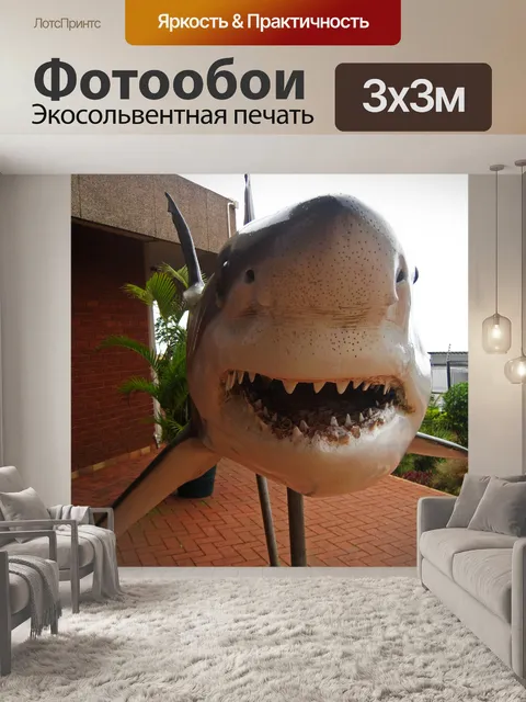 Фотообои модель большой белой акулы