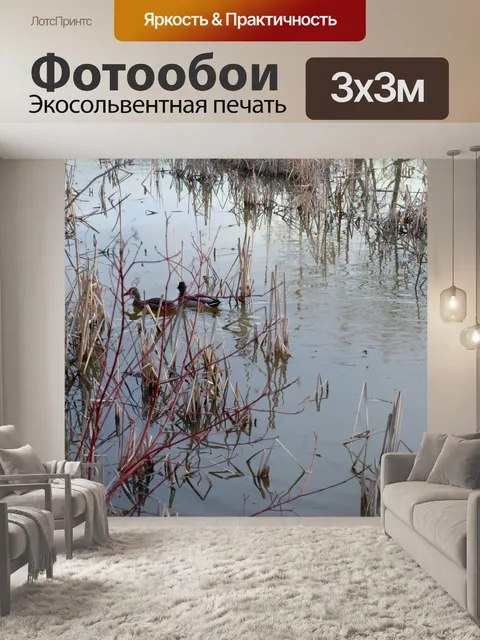 Фотообои утки в камышах