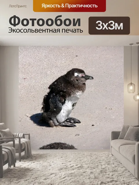 Фотообои Линьки пингвины