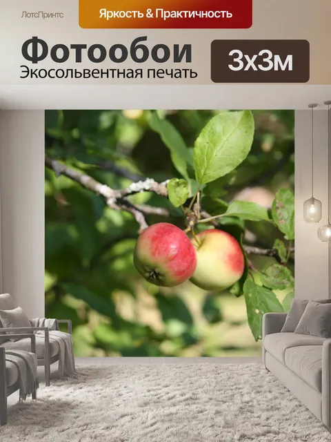 Фотообои Яблоня