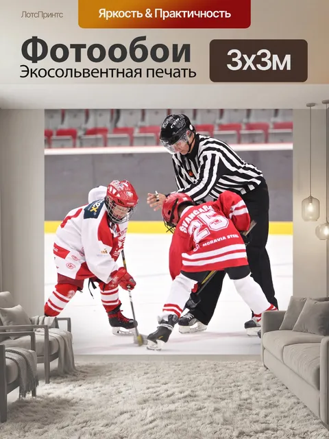 Фотообои Хоккей