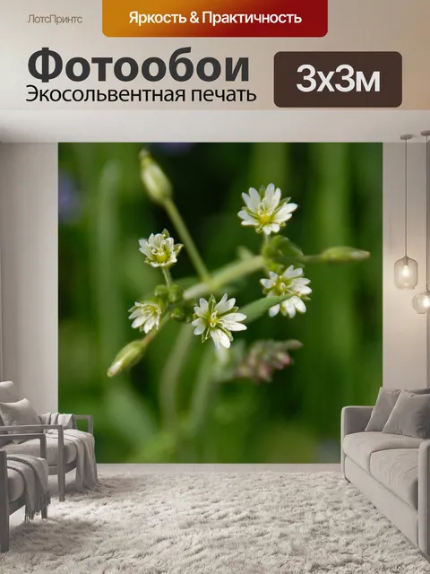 Фотообои Дикие