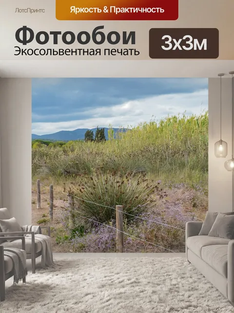 Фотообои Франция
