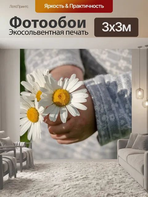 Фотообои Ромашки