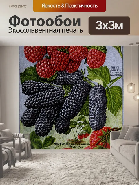 Фотообои Винтажная реклама клубники фруктов